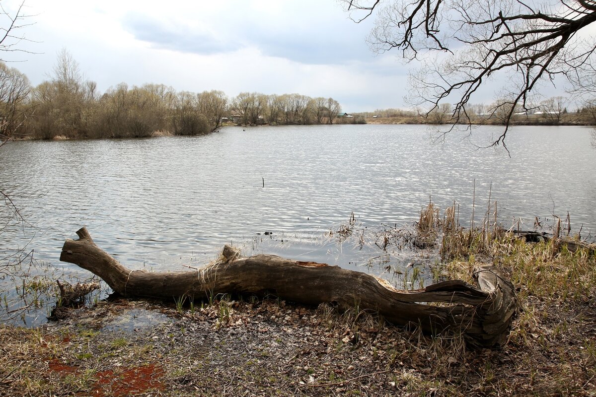 Белокаменский парк